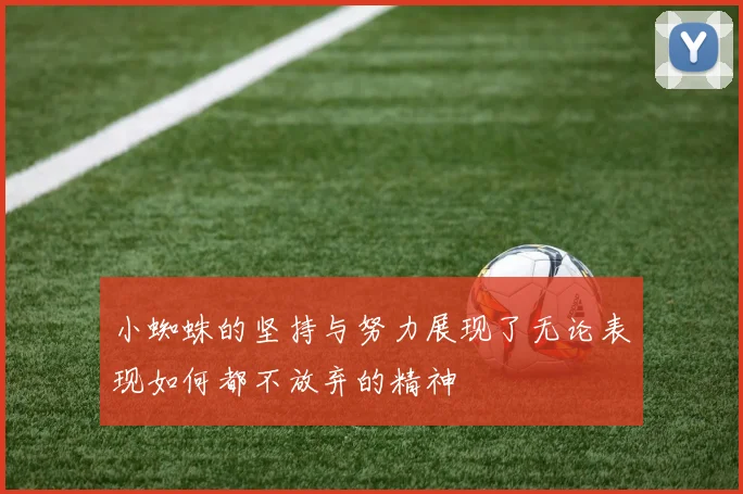 小蜘蛛的坚持与努力展现了无论表现如何都不放弃的精神